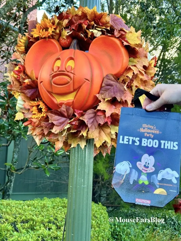 Mickey's Not So Scary Halloween