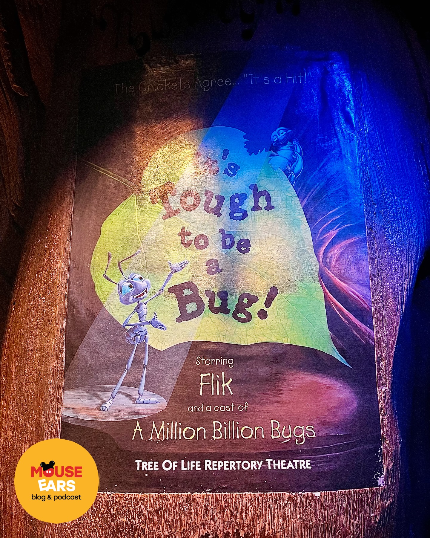 ‼️ ANIMAL KINGDOM CLOSING ANNOUNCEMENT ‼️

🐜 One of Disney’s original Animal Kingdom attractions is saying goodbye! If you’ve ever braved the creepy-crawly world of insects beneath the Tree of Life, now’s your last chance—It’s Tough to Be a Bug! will permanently close on March 17, 2025. 🦋

✨ But don’t worry—something new is on the way! ✨

In its place, Disney is bringing Zootopia: Better Zoogether!, a brand-new show debuting this winter. ❄️

📲 Tap the link in our bio to read all the details!

#DisneyNews #AnimalKingdom #DisneyWorld #DisneyClosing #ItsToughToBeABug #Zootopia #ZootopiaShow #DisneyChanges #ThemeParkNews #WDWNews #DisneyUpdates #MouseEarsBlog #ftjtravel