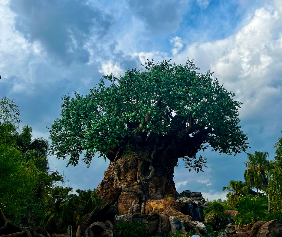 Tree of Life at Animal Kingdom on a cloudy day