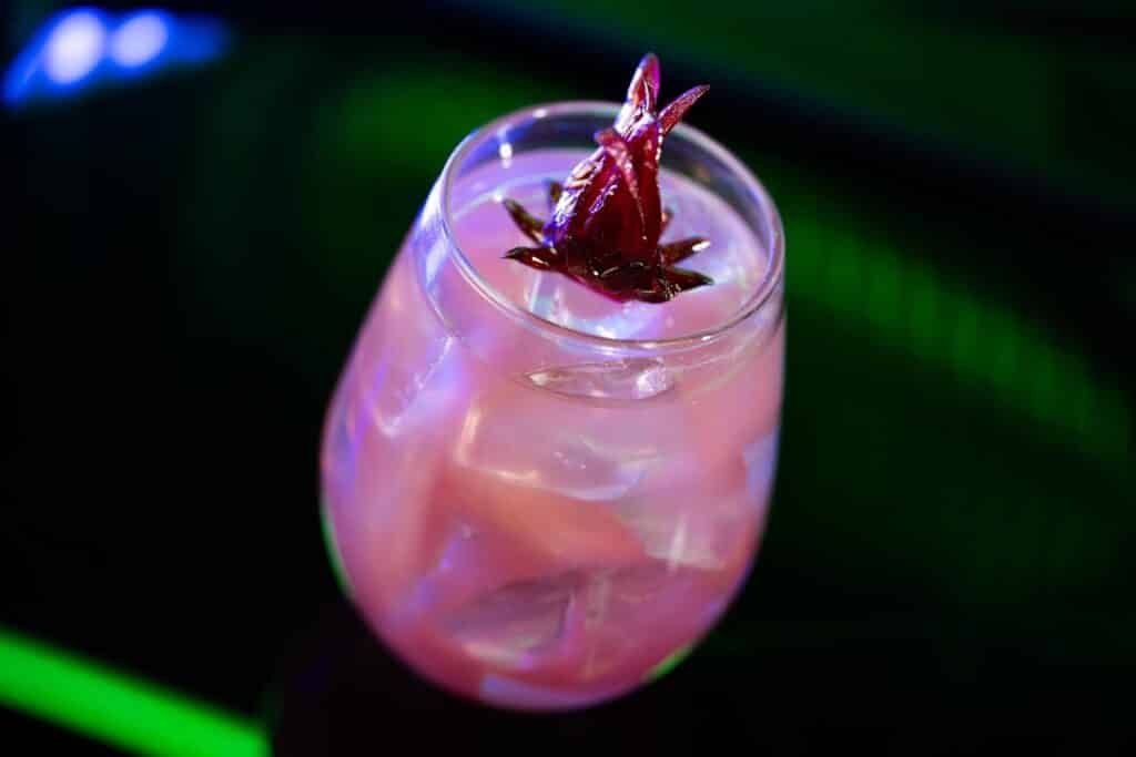 Disney's image of the new Nysillin and Bubbles with Brub Berry Essence drink which consists of Empress 1908 Gin, St-Germain Elderflower Liquer, and blueberry-lime juice topped with tonic water and garnished with an edible hibiscus flower.