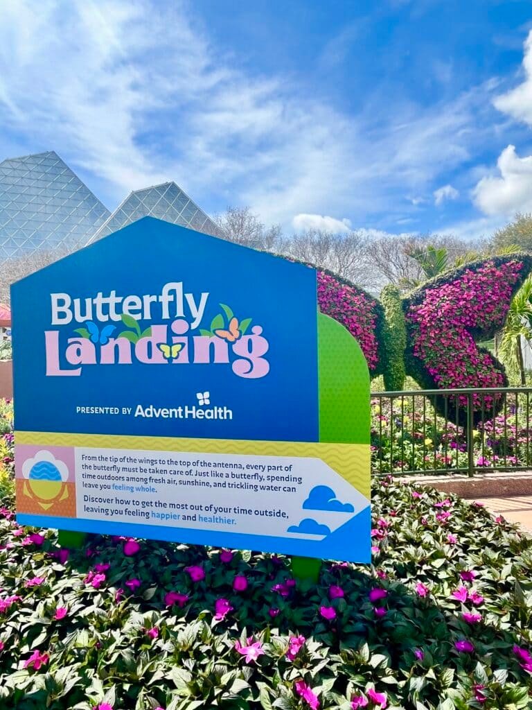 EPCOT's 2024 Butterfly Landing Sign and  Butterfly Topiary for the 2024 Flower and Garden Festival