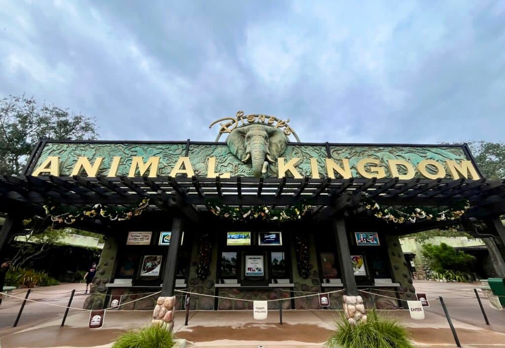 Disney's Animal Kingdom Entrance Sign and Will Call Windows decorated with holidays lights, garland and other decorations.