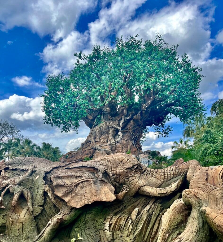 Picture of the iconic Tree of Life at Disney's Animal Kingdom theme park with a massive elephant head carved into the wood roots at the base of the tree trail on a partly cloudy day.